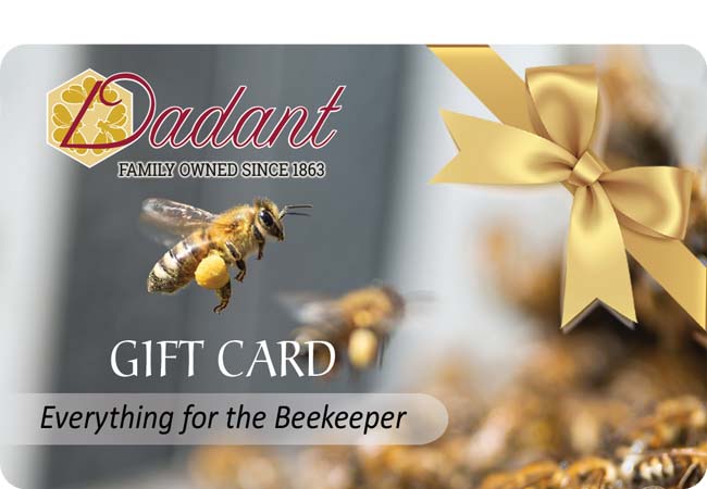 Let's gift...honey bee gifts — southern giftologist