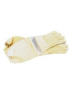 Economy Ventilated Gloves