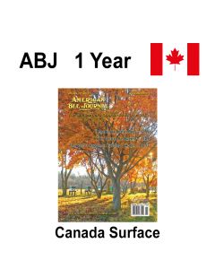 Canada - 1 Year Printed Subscription Surface Mail - American Bee Journal Publication