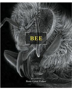 Bee - Close-up Photography of the Bee book