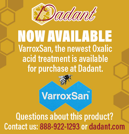 VarroxSan, the newest Oxalic acid treatment, is now available for purchase at Dadant!