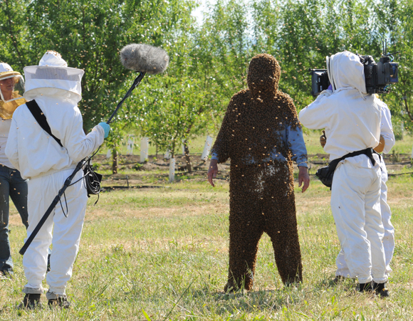 Norm Gary, emeritus professor at UC Davis, kept bees for 69 years and was known as the world's best bee wrangler before his retirement. Here he gears up for a documentary. (Photo by Kathy Keatley Garvey) 