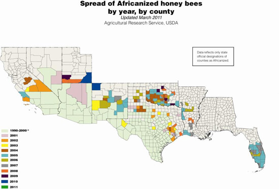 Spread of Africanized honey bees by year, by county