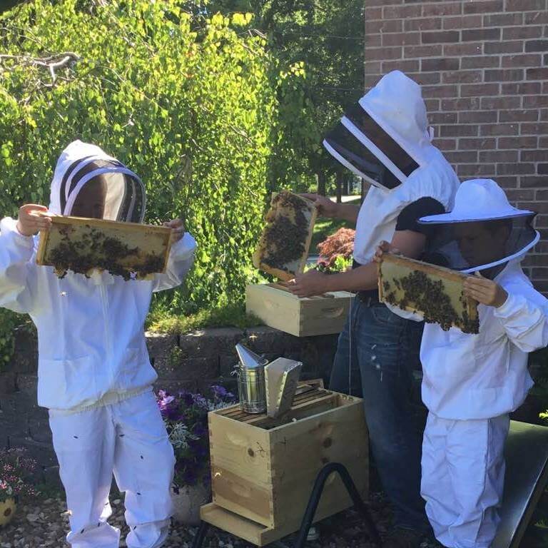 Checking Hives for Winter Feeding