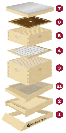 Components of a beehive by Dadant & Sons