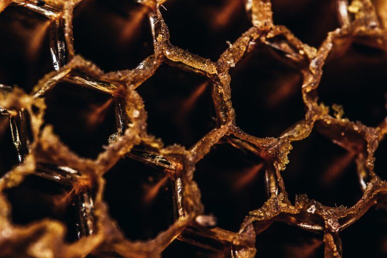 Why Do Honeycombs Look That Way Beekeeping Learning Center Dadant And Sons 1863 0784