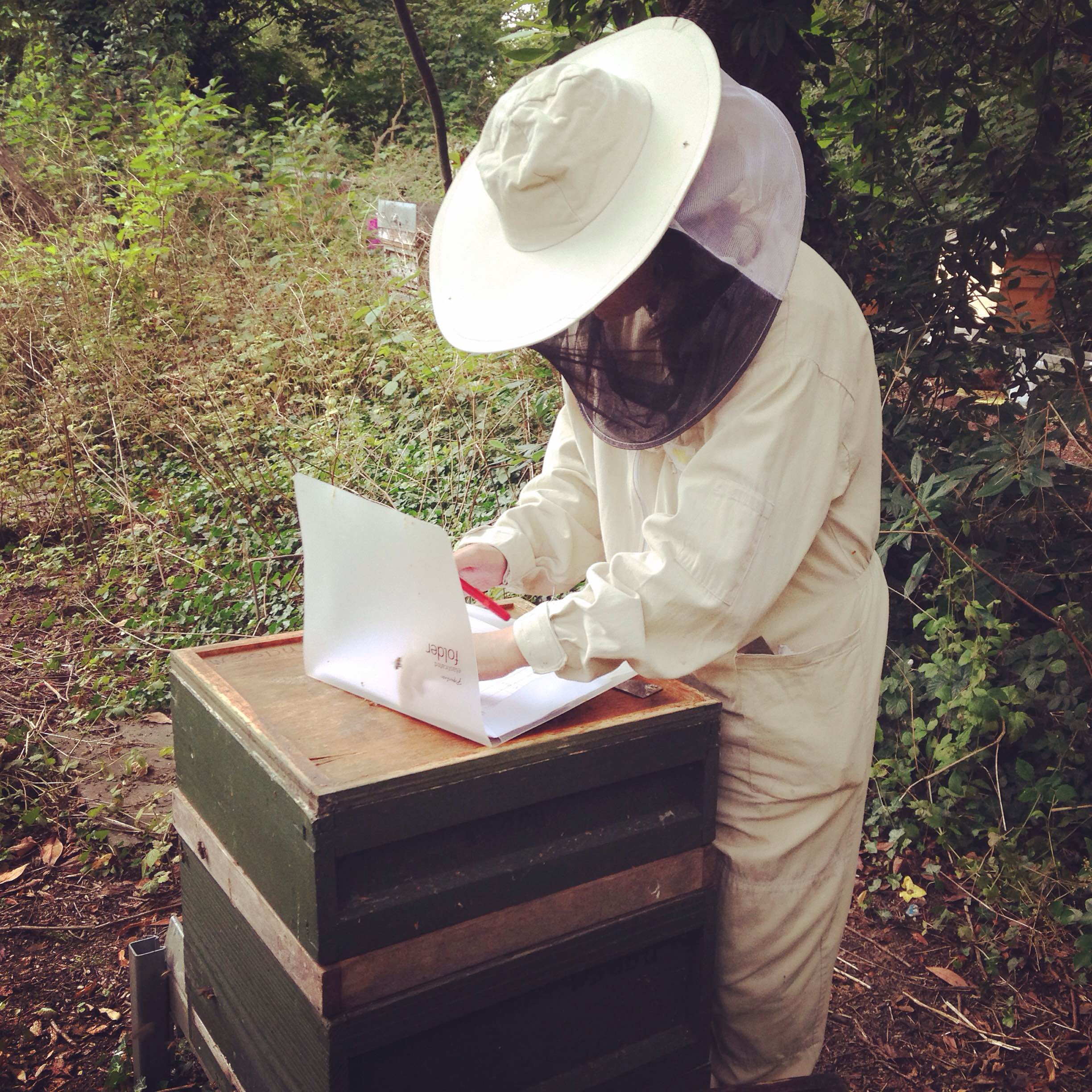 5 Reasons Why We Need The Bees Beekeeping Learning Center Dadant And Sons 1863 0176