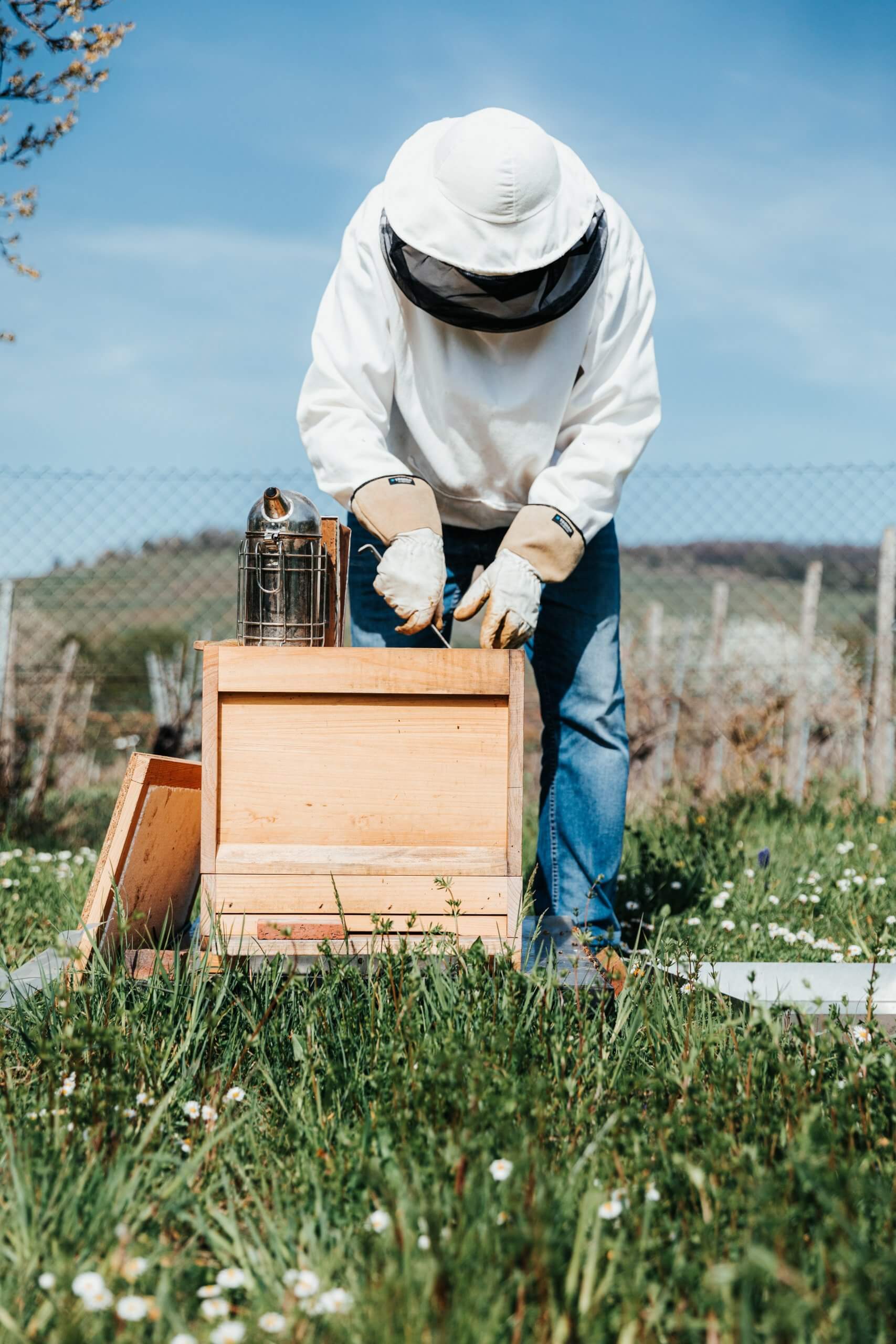 The Importance of Protective Gear for Beekeepers