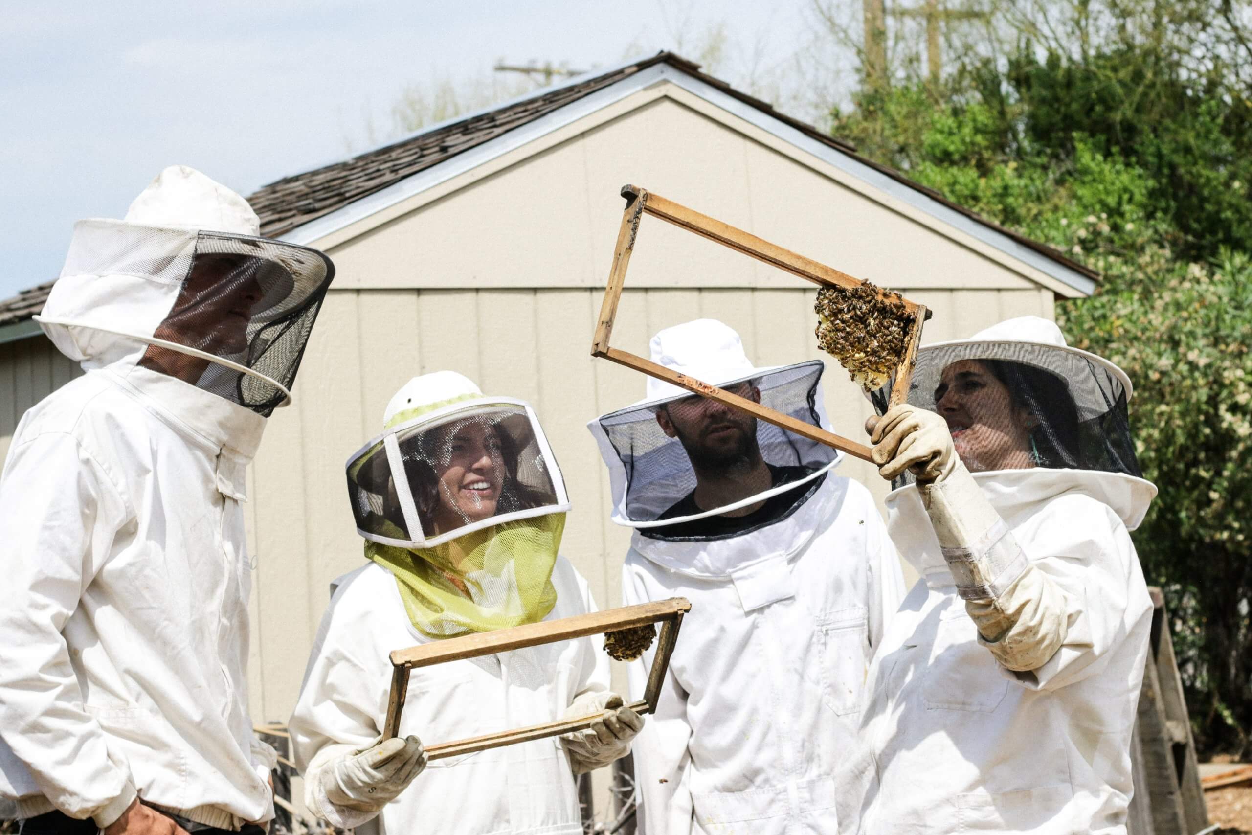 What Personal Protective Clothing Do Beekeepers Need?