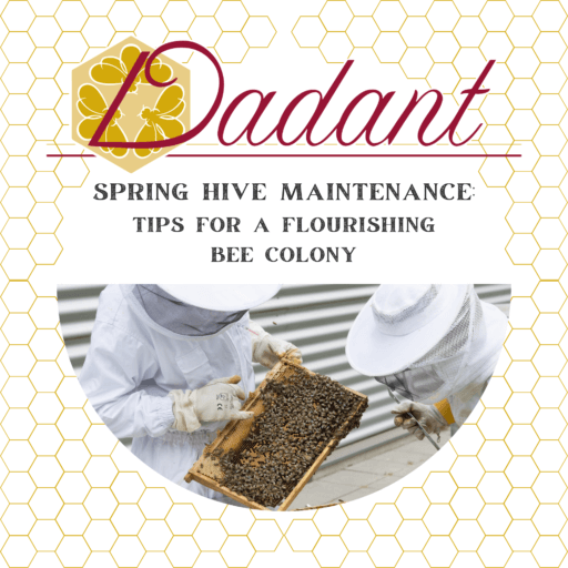 Spring Hive Maintenance: Tips For A Flourishing Bee Colony | Beekeeping ...