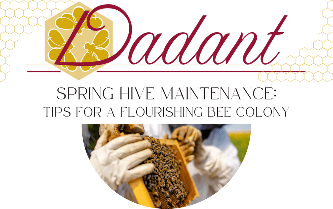 Spring Hive Maintenance Tips For A Flourishing Bee Colony Beekeeping Learning Center Dadant 5666