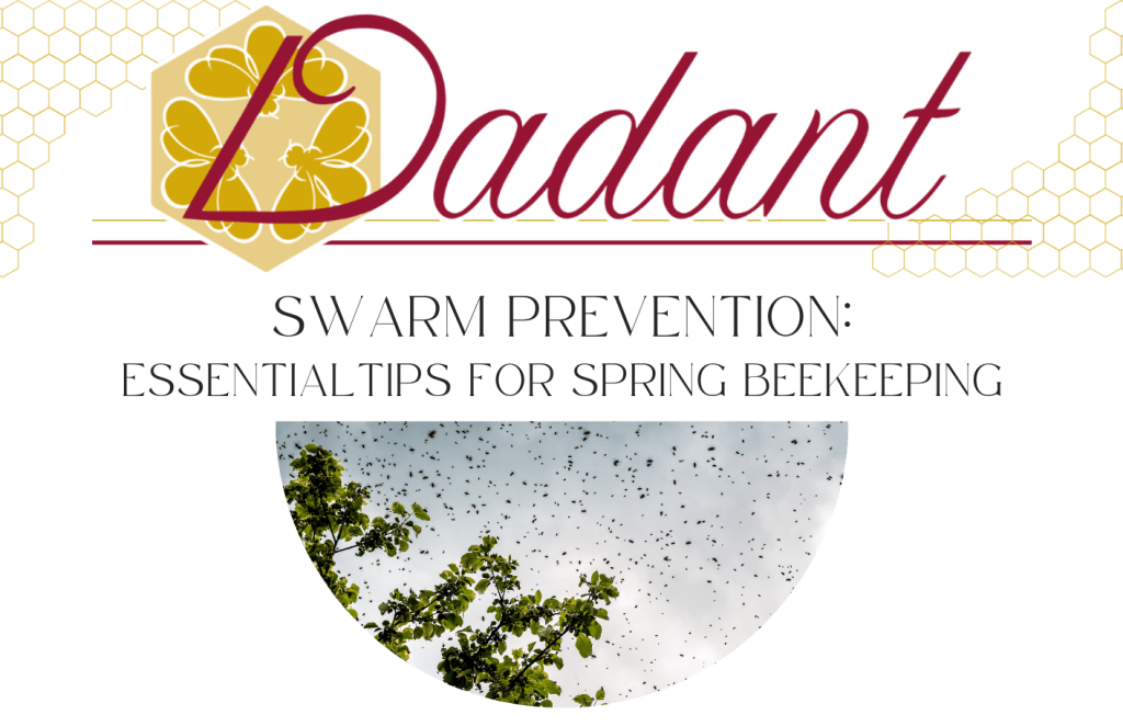 Swarm Prevention Essential Tips For Spring Beekeeping Beekeeping Learning Center Dadant 3048