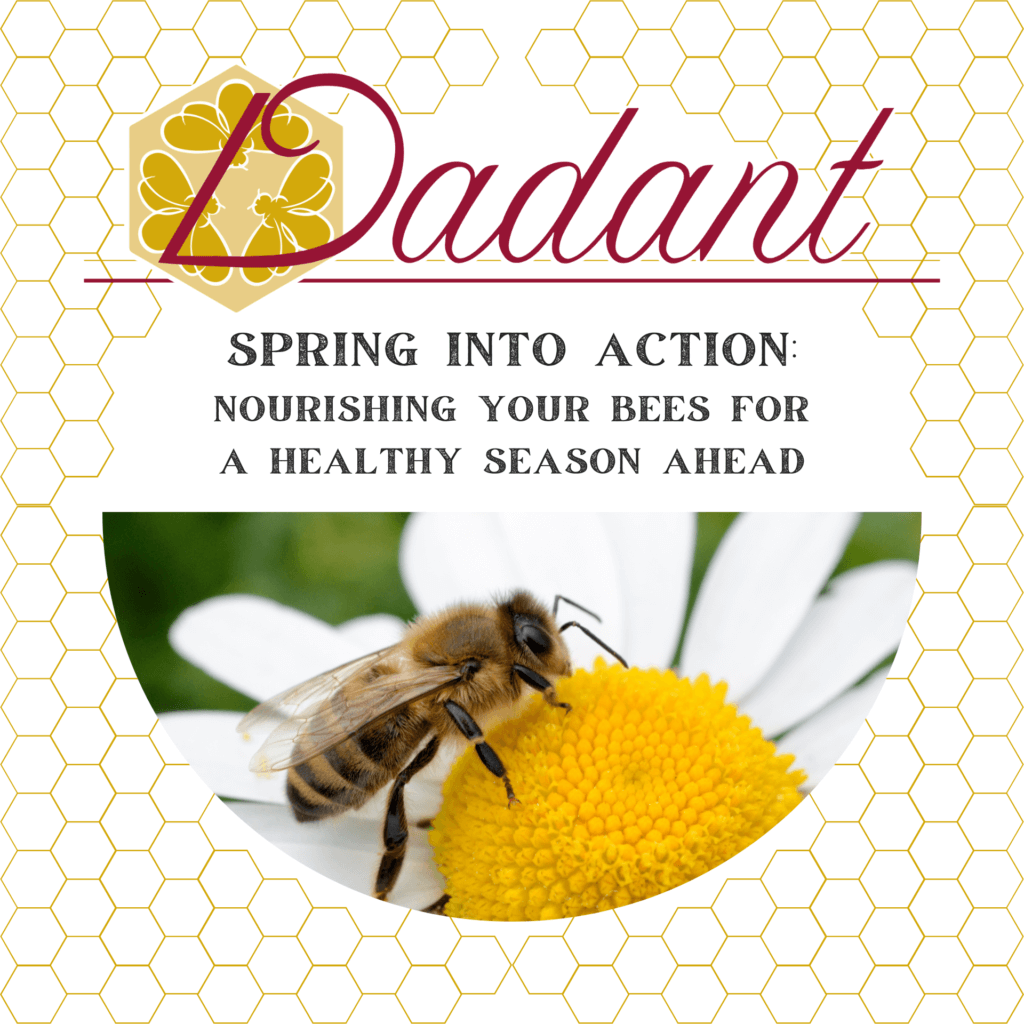 Spring Into Action Nourishing Your Bees For A Healthy Season Ahead Beekeeping Learning Center 5433