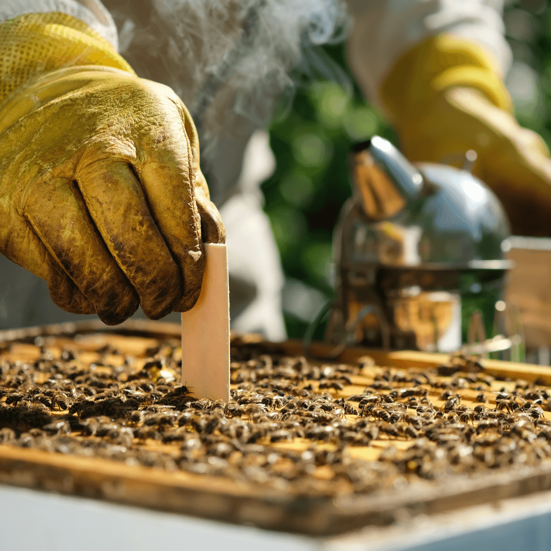 Beekeeping Learning Center Dadant And Sons 1863 7383