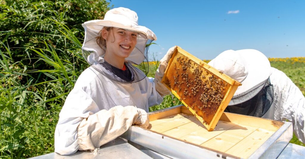 A Guide to Beekeeping Protective Clothing