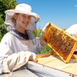 A Guide to Beekeeping Protective Clothing