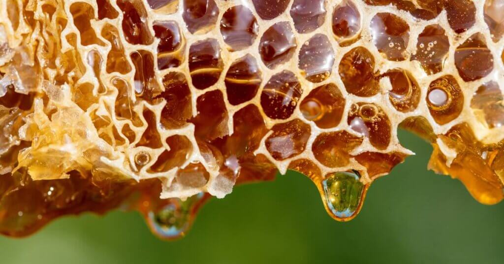 Thick, golden honey dripping from a piece of honeycomb. There is blurred green foliage in the background.