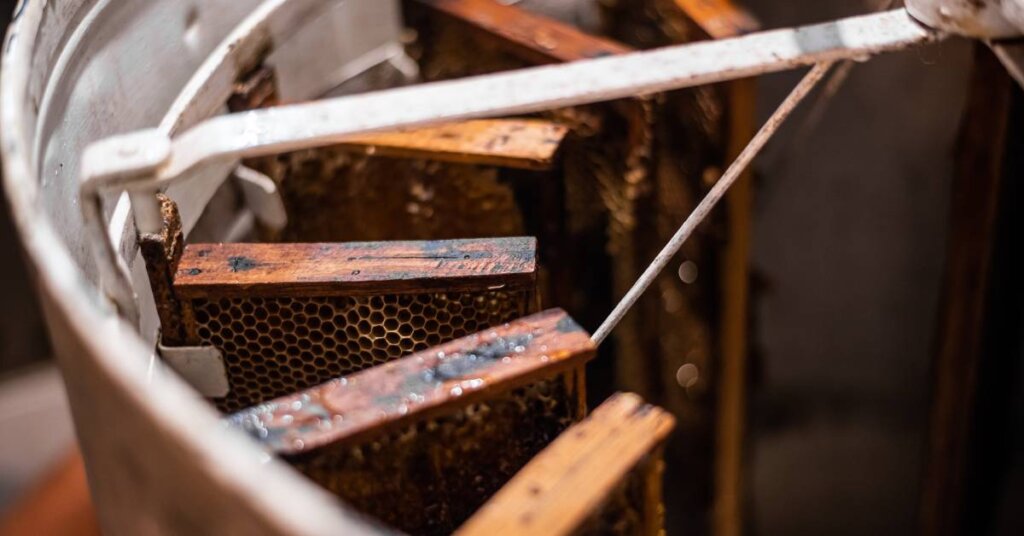 Multiple hive frames set inside a metal honey extractor. They are hanging around the edge, ready to spin and extract honey.