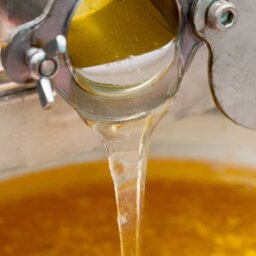 Golden honey pouring from the metal valve of a honey extractor. It is falling into a white bucket that's almost full.