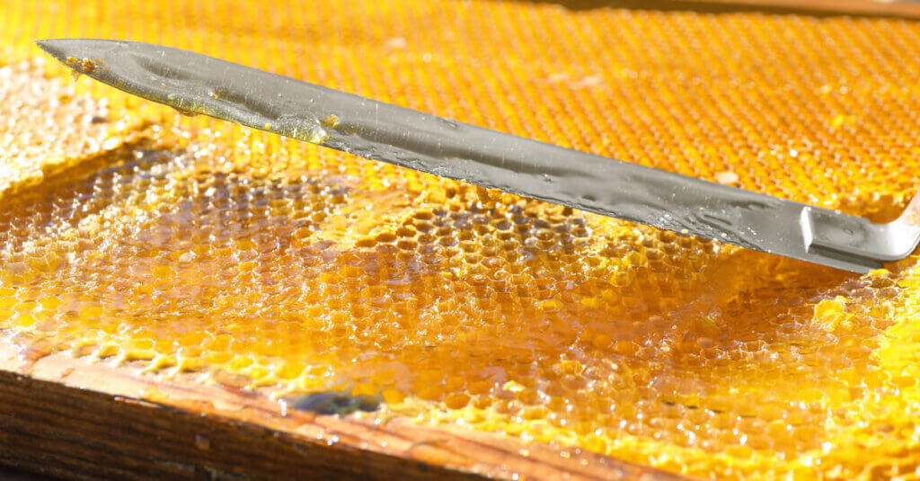 A hive frame full of golden honey with an uncapping knife sitting atop it. The frame is partially uncapped.